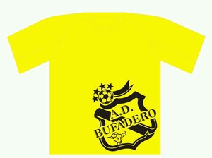 Camisa entrenamiento